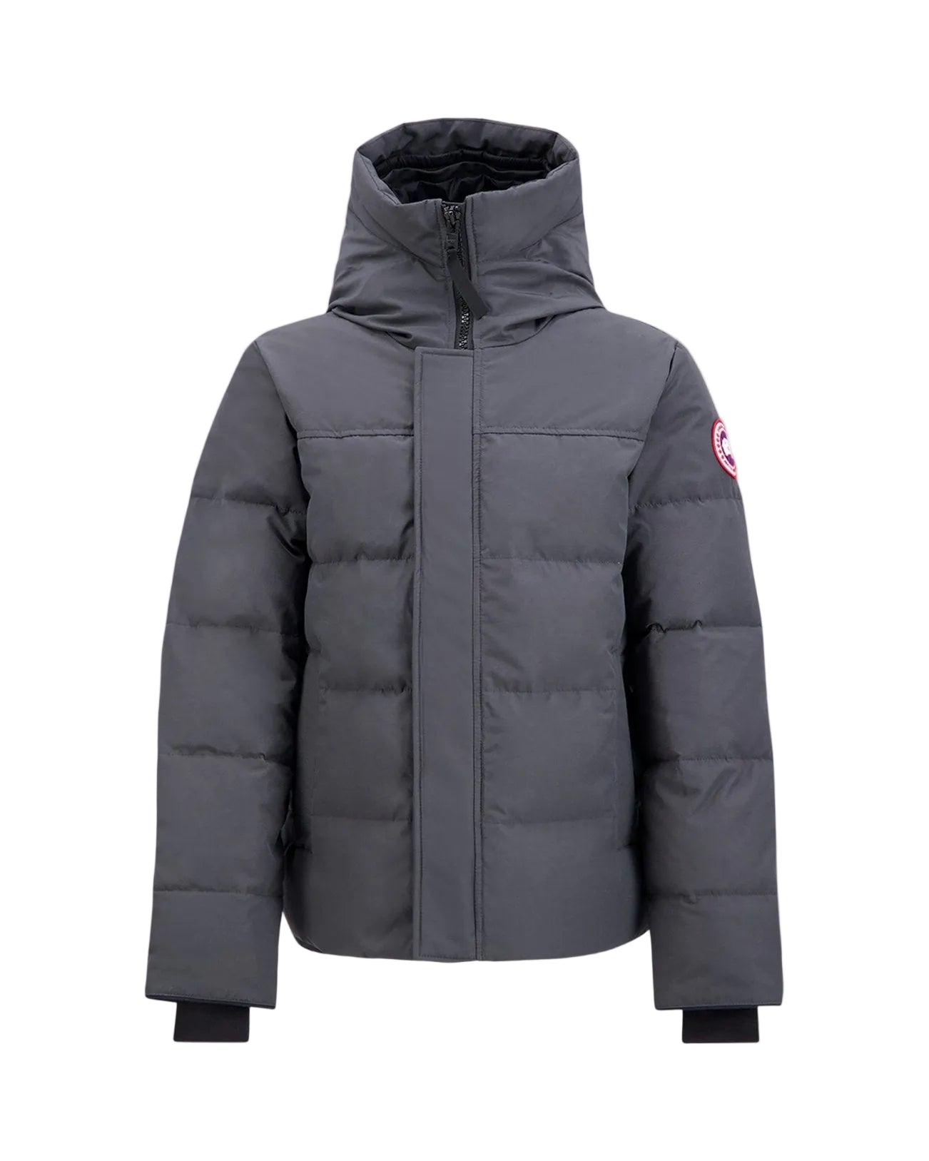 Canada goose Macmillan