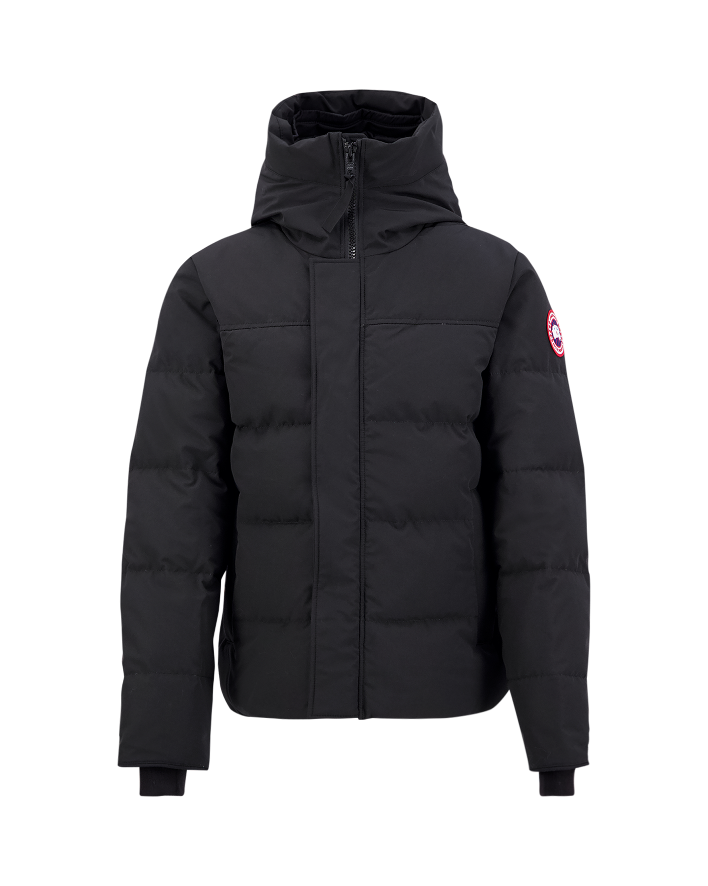 Canada goose Macmillan