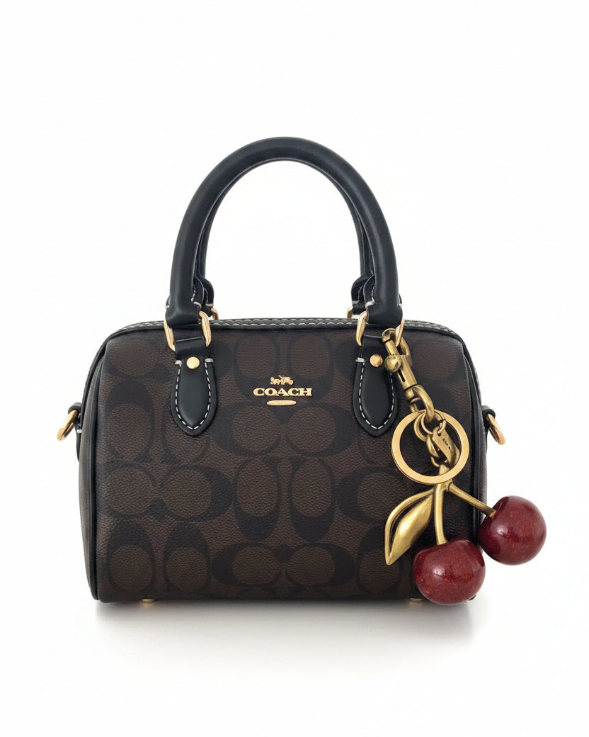 Coach rowan mini