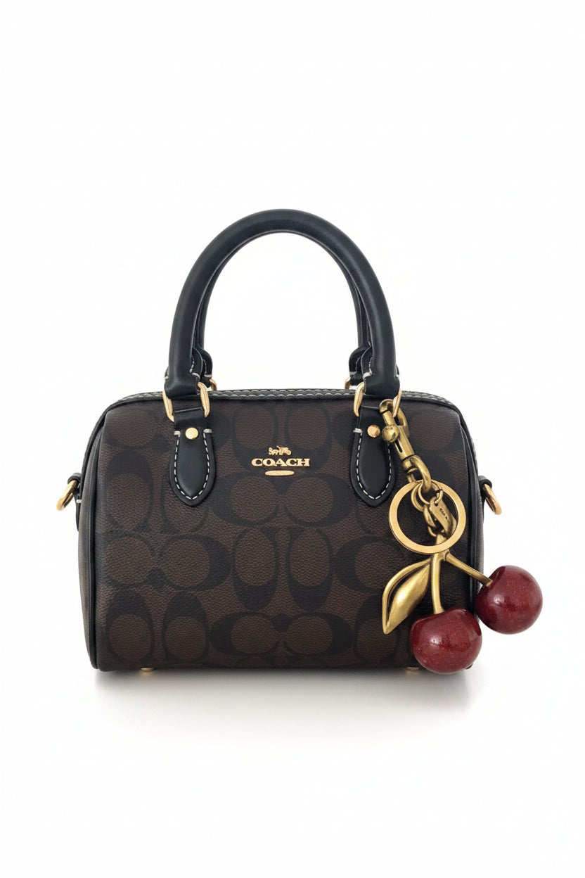 Coach rowan mini