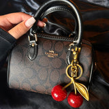 Coach rowan mini