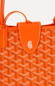 Goyard Anjou Mini Tas - Oranje - Oranje