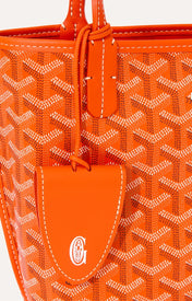 Goyard Anjou Mini Tas - Oranje - Oranje