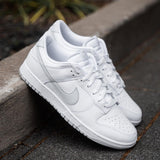 NIKE DUNK LOW - Grijs - Grijs
