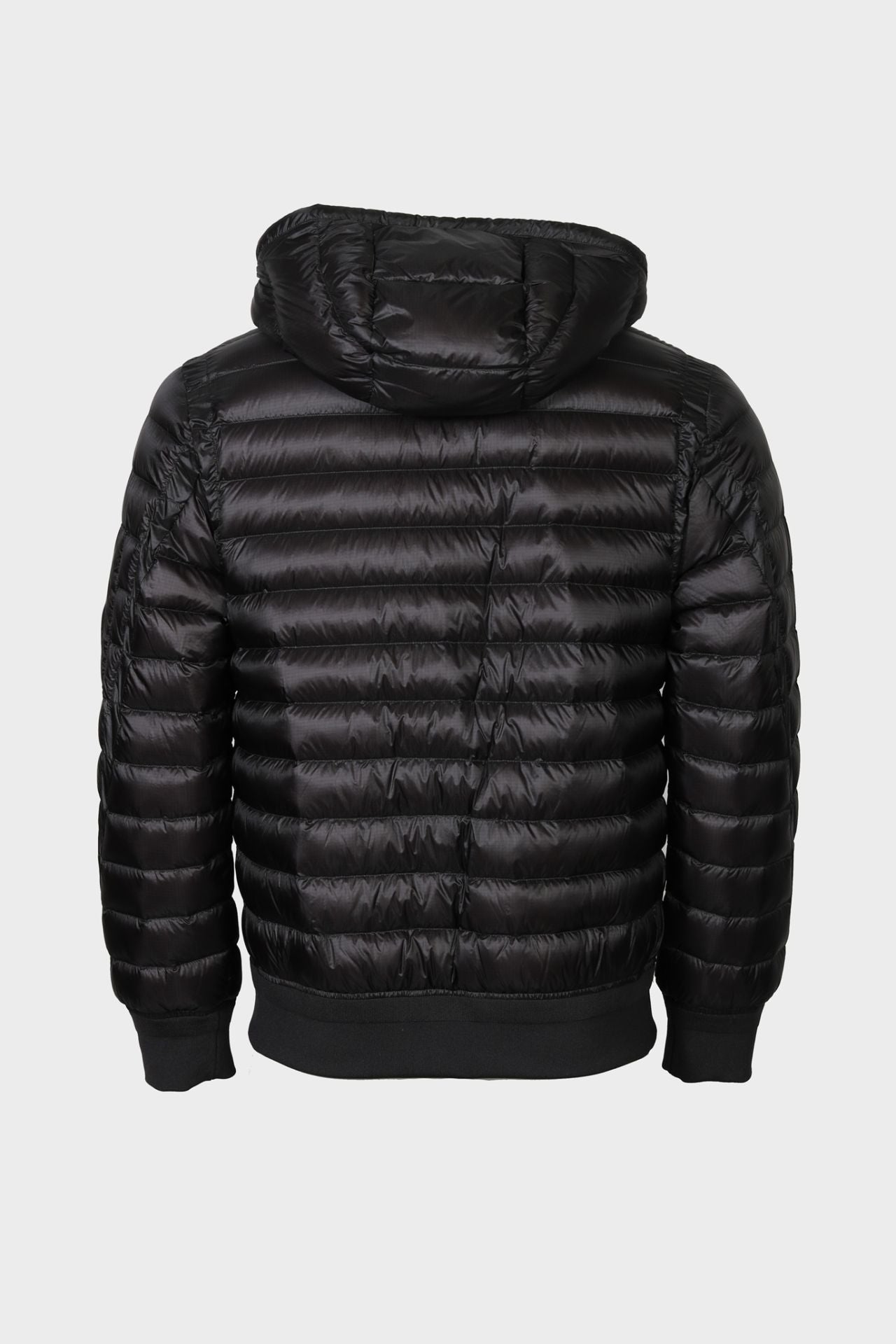 CP Company D.D. Shell