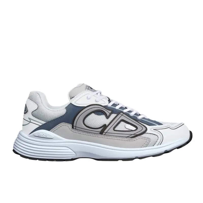 Dior B30 Reflective Grey/Blue