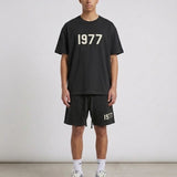 Essentials 1977 Zomerset